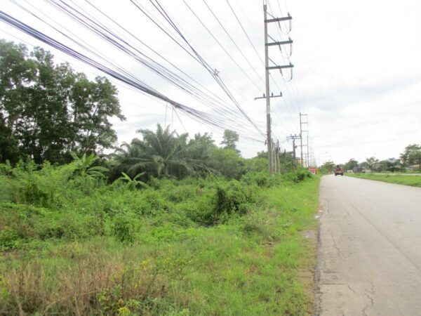 Empty Land, Surat Thani _photo