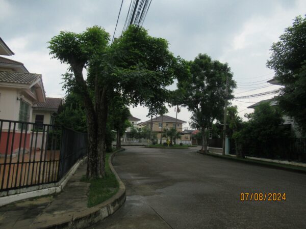 Single house _photo