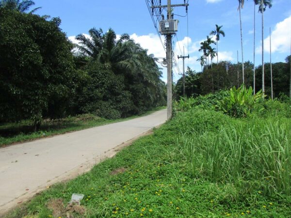 Non -empty land, Chumphon _photo