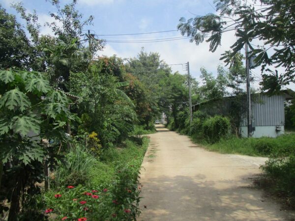 Warehouse, Chiang Rai _photo