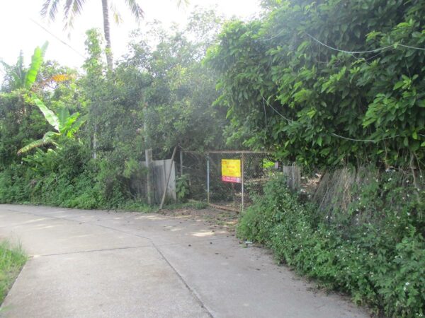 Single house, Chiang Rai _photo