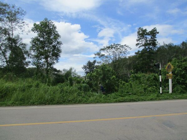 Vacant land, Nakhon Si Thammarat _photo