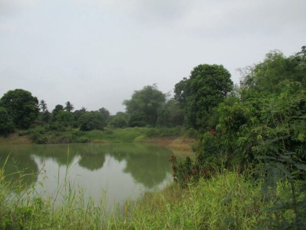 Empty Land, Suphanburi _photo