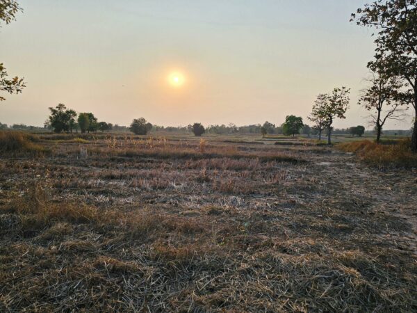 Empty land _photo