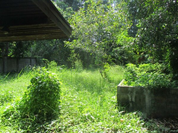 Single house, Chiang Rai _photo