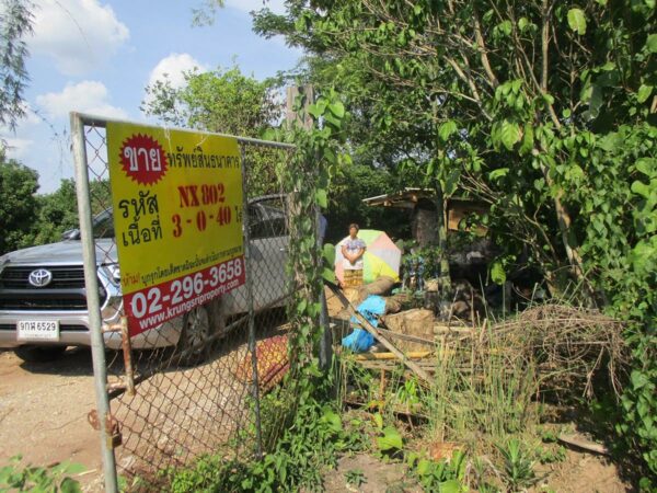 Single house, Chiang Rai _photo