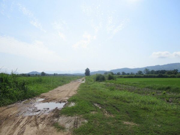 Ruen Chiang Saen Agricultural Park Project _photo