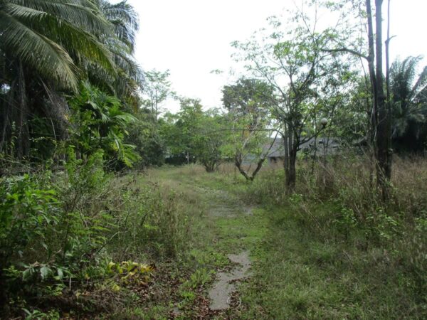 Single house, Nakhon Si Thammarat _photo