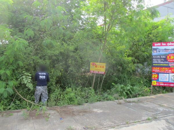 Vacant land, Nakhon Si Thammarat _photo