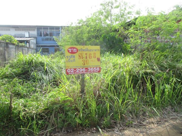 Vacant land, Nakhon Si Thammarat _photo