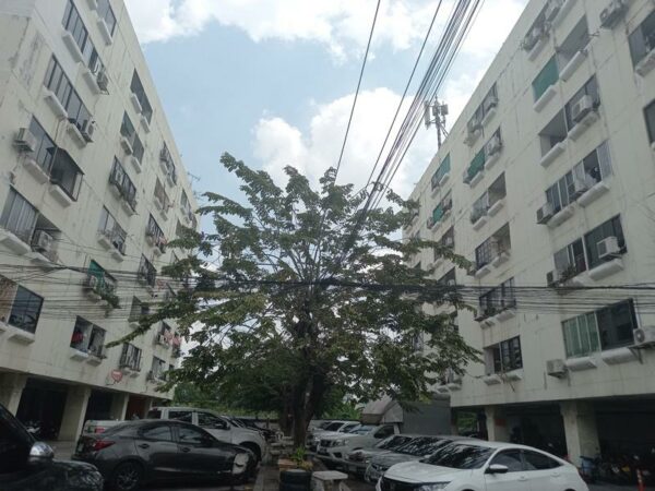 Residential apartment _photo