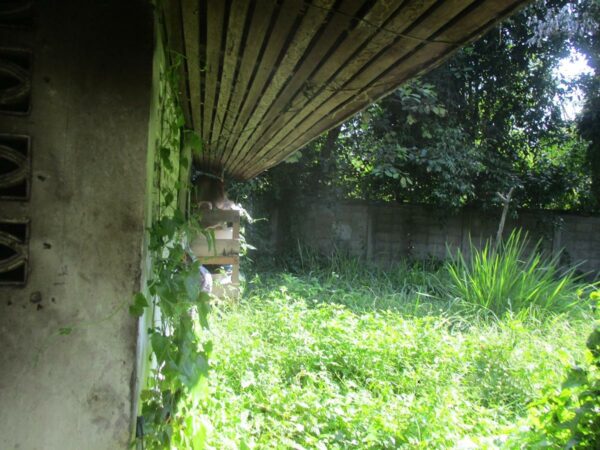 Single house, Chiang Rai _photo