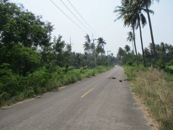 Vacant land, Prachuap Khiri Khan _photo