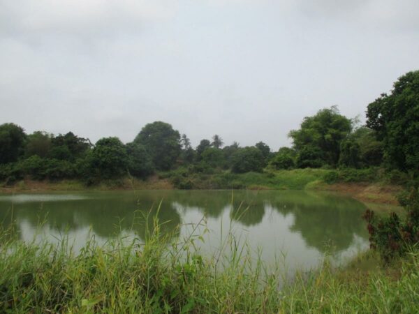 Empty Land, Suphanburi _photo