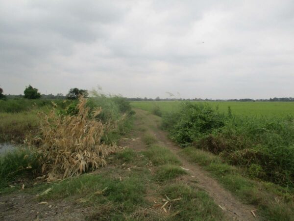 Empty Land, Suphanburi _photo