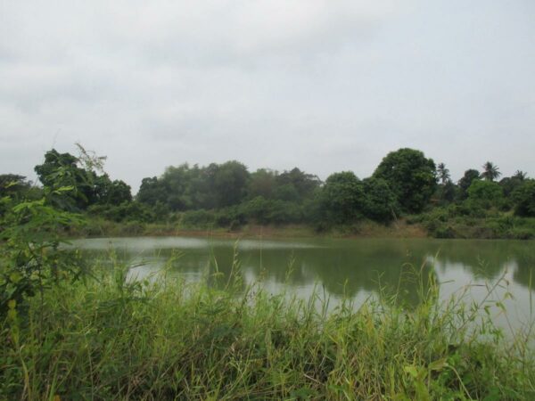 Empty Land, Suphanburi _photo