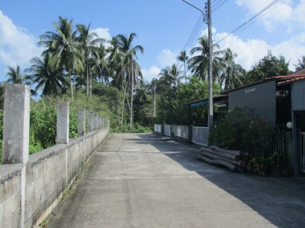 Single house, Surat Thani _photo