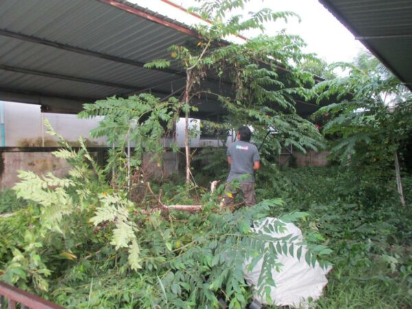 Covered building, Surat Thani _photo