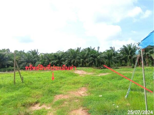 01 Empty Land _photo