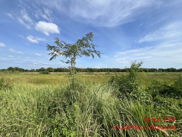 Empty land _photo