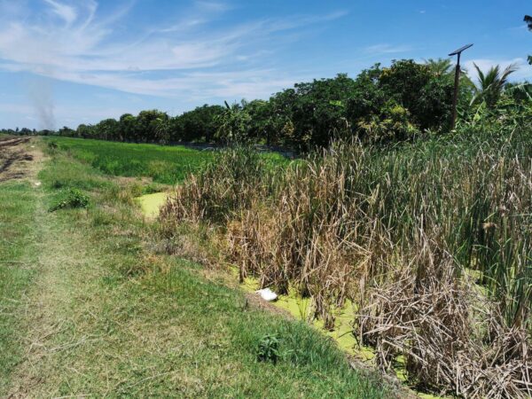 Empty land _photo