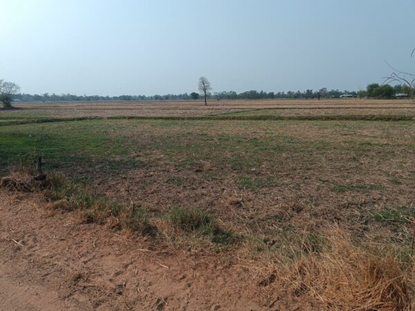 Empty land _photo