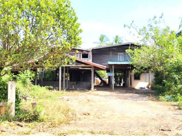 02 Single House _photo