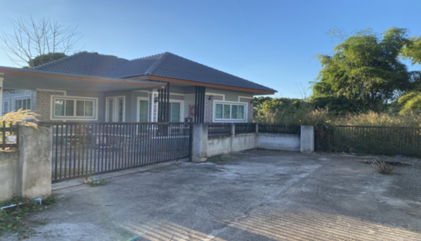 02 Single House _photo