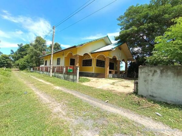 02 Single House _photo