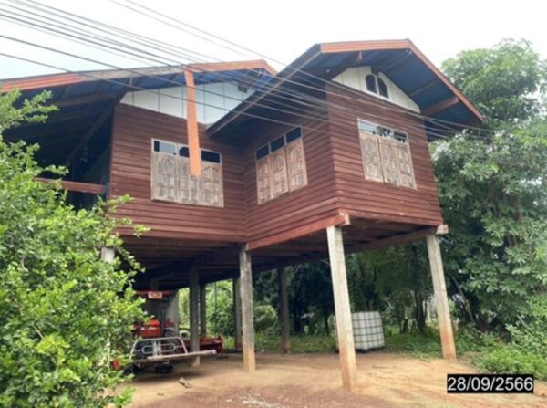 02 Single House _photo