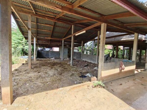 02 Single House _photo