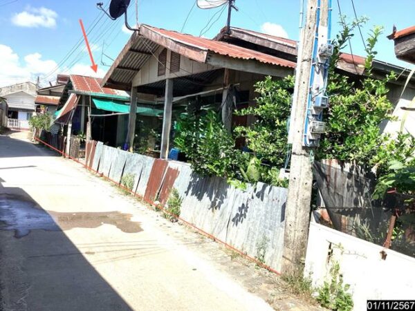 02 Single House _photo