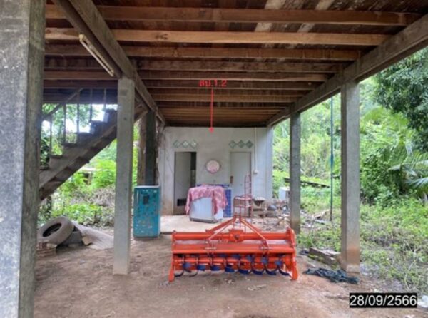 02 Single House _photo