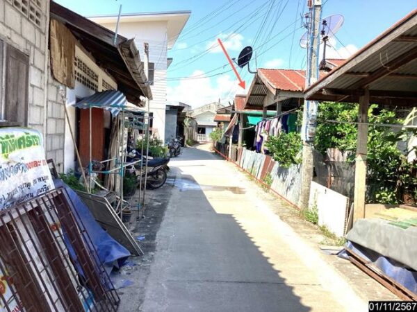 02 Single House _photo