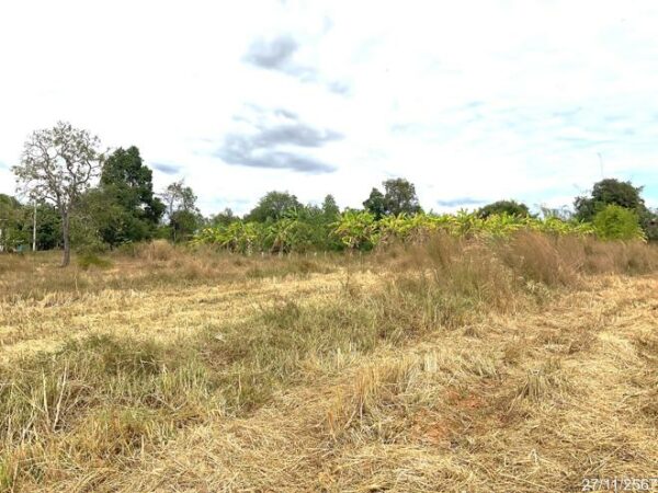 01 Land is empty. _photo
