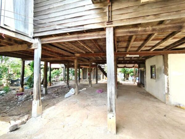 02 Single House _photo