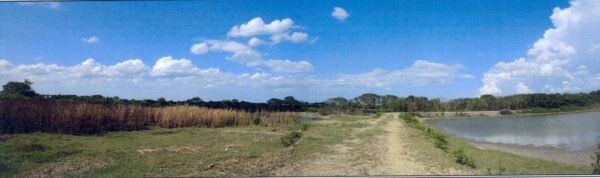 Empty land _photo