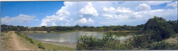 Empty land _photo