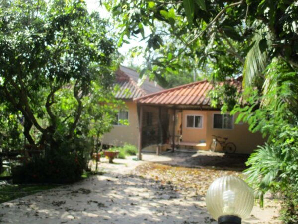 Single house, Lamphun _photo